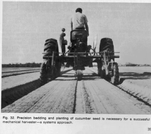 Photo of farmer on a tractor doing percision bedding and planting of cucumber seeds.