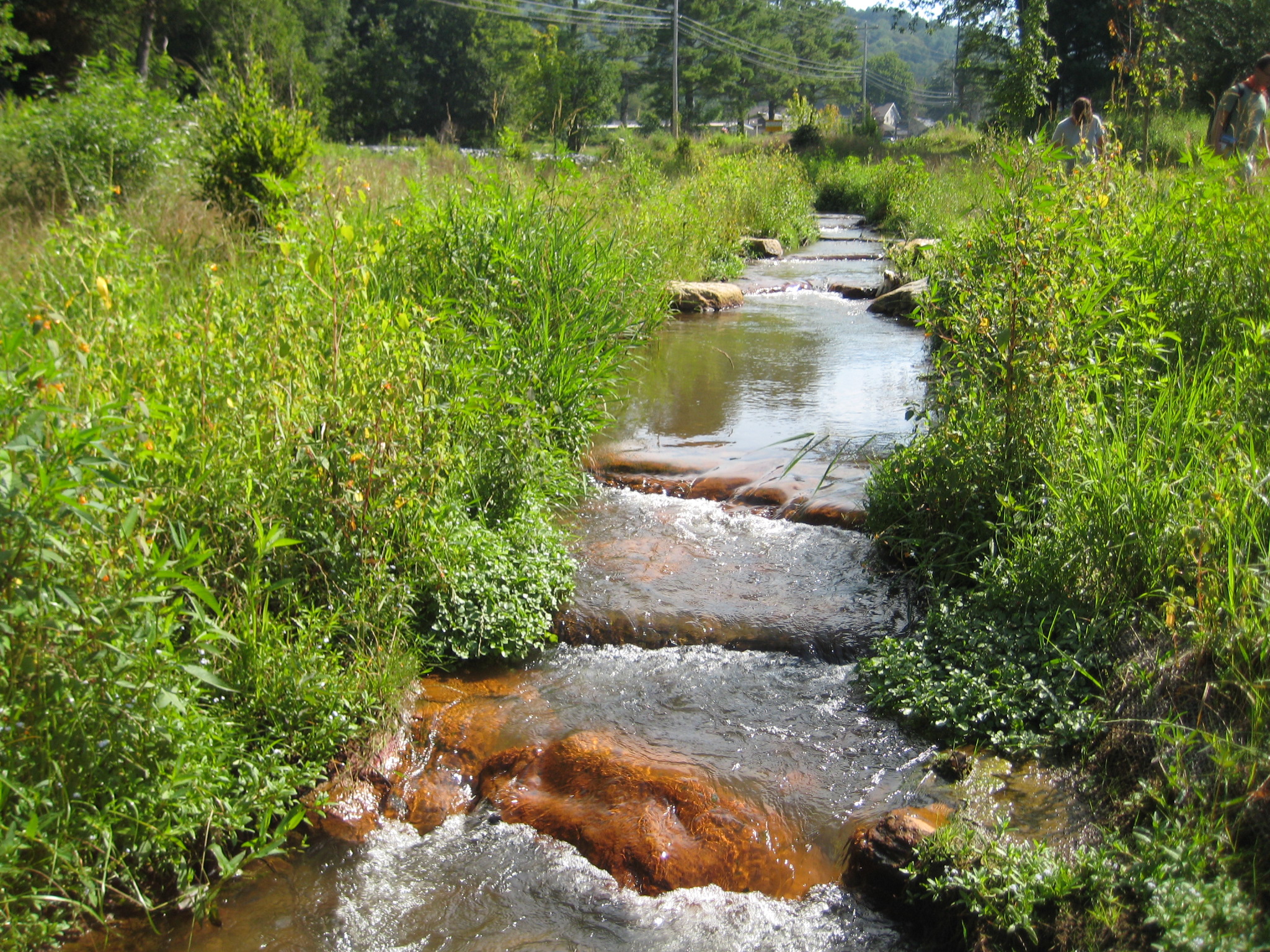 Stream Restoration Program Department of Biological and Agricultural