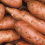 ASABE Student Chapter Opens Annual Sweetpotato Fundraiser Sale