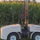Wheeled Robot Measures Leaf Angles to Help Breed Better Corn Plants