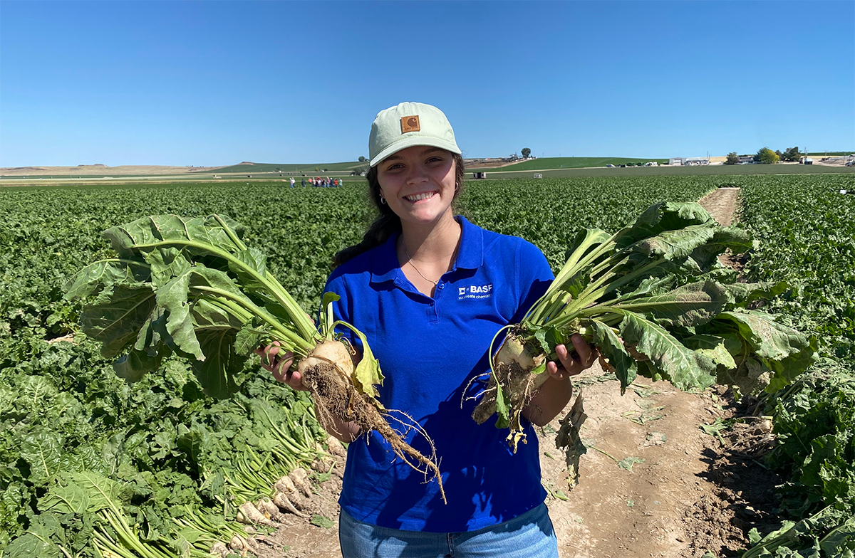 Shelby Orton in a sugar beets field.