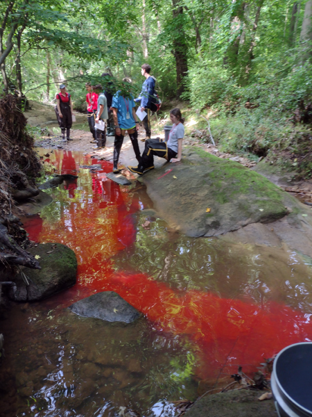 Ecological Engineering campers simulate a stream tracer experiment along Rocky Branch Creek.