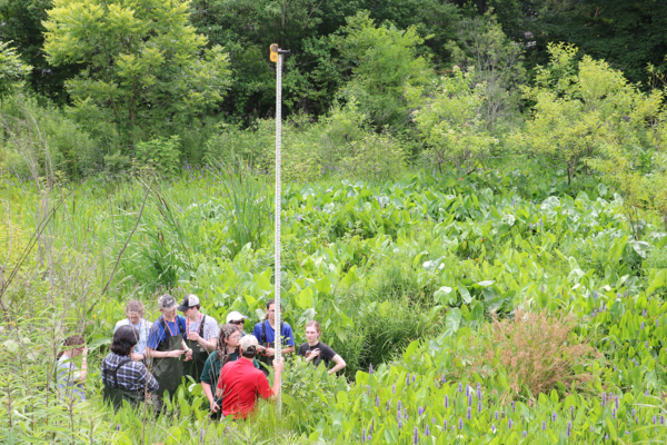Ecological Engineering campers survey a wetland inside of Fletcher Park. 